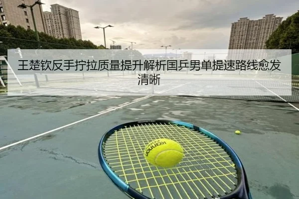 王楚钦反手拧拉质量提升解析国乒男单提速路线愈发清晰